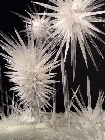 Park Headquarters - Whitney, TX