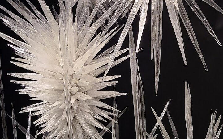 Park Headquarters - Whitney, TX