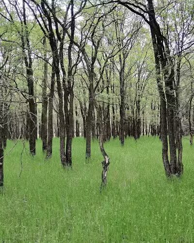 Park Headquarters - Whitney, TX
