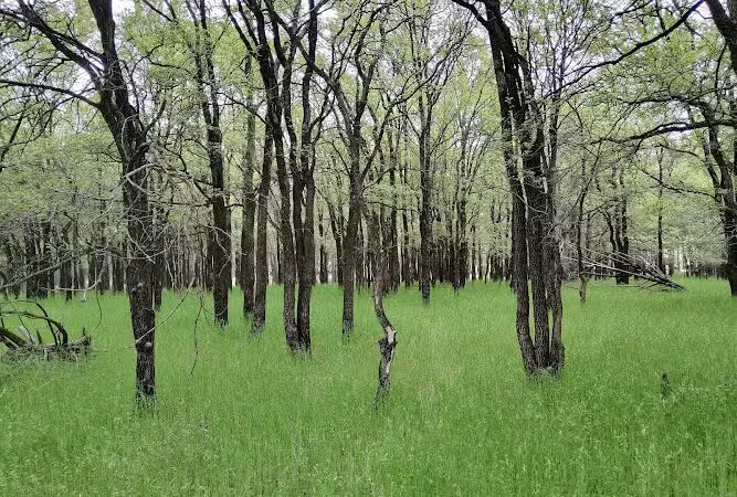 Park Headquarters - Whitney, TX