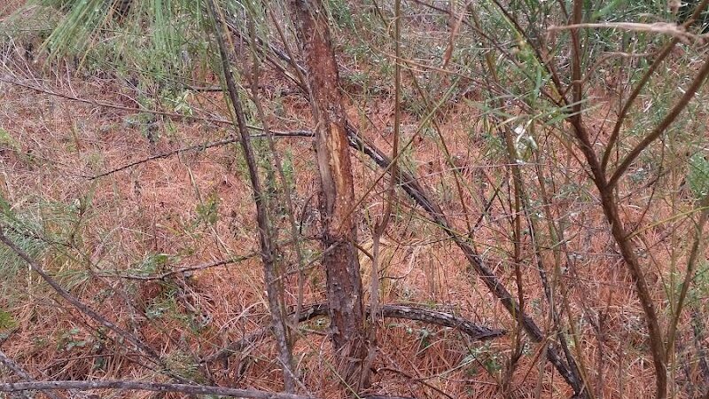 Riverside Park - Whitney, TX