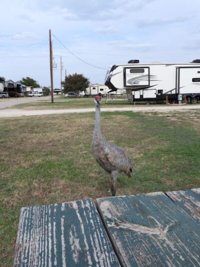 Whitney Resorts - Whitney, TX