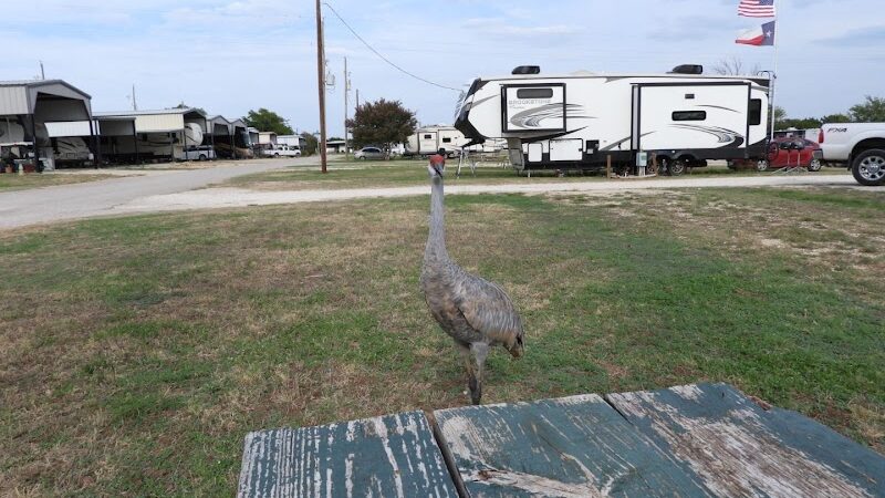 Whitney Resorts - Whitney, TX