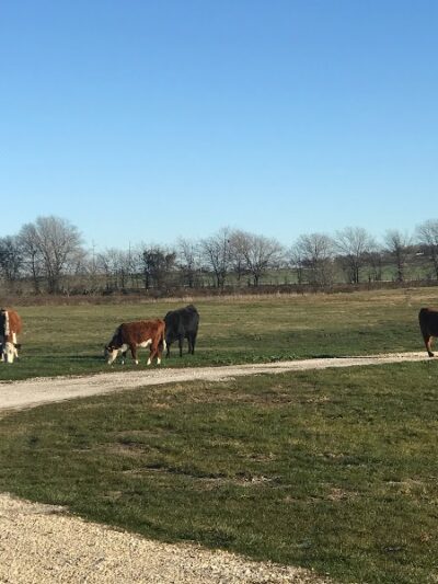 Whitney Willow RV Park - Whitney, TX