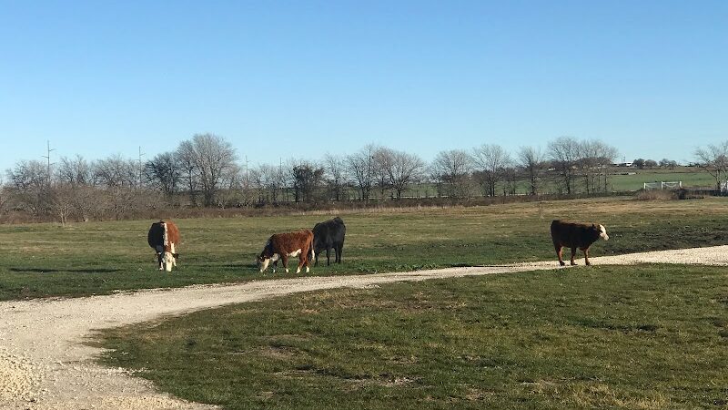 Whitney Willow RV Park - Whitney, TX