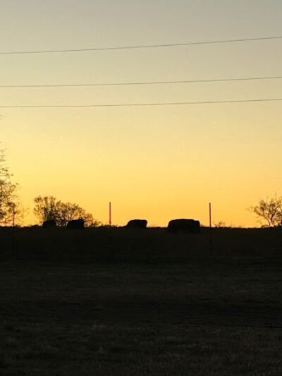 Whitney Willow RV Park - Whitney, TX