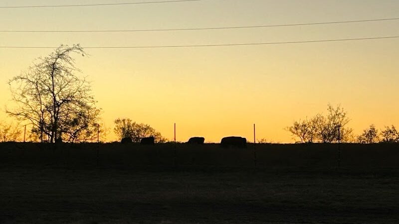 Whitney Willow RV Park - Whitney, TX