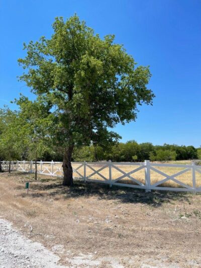 Whitney Willow RV Park - Whitney, TX