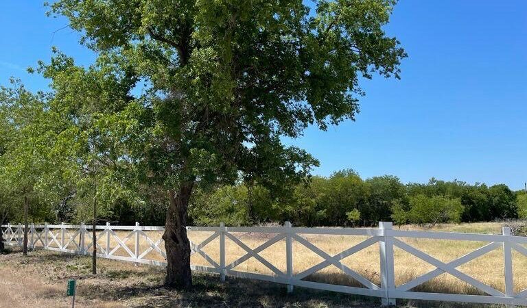 Whitney Willow RV Park - Whitney, TX