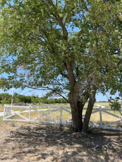 Whitney Willow RV Park - Whitney, TX