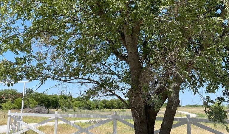 Whitney Willow RV Park - Whitney, TX