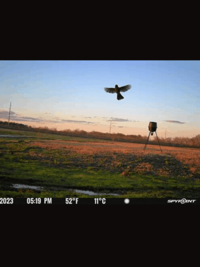 Whitney Willow RV Park - Whitney, TX