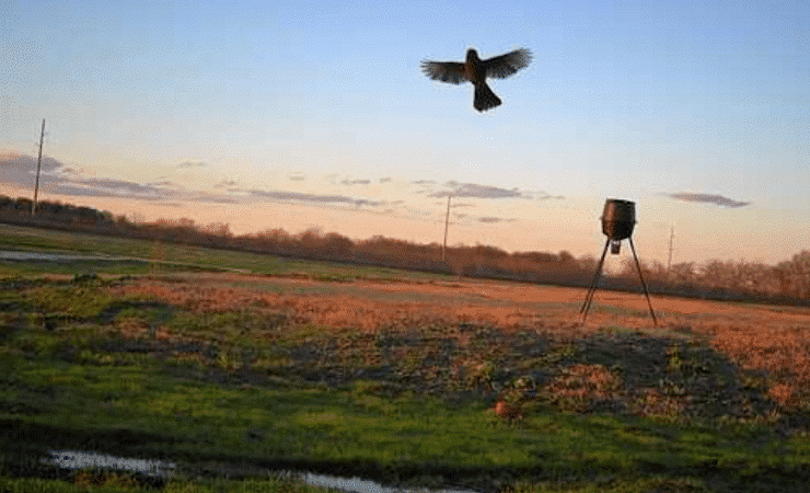 Whitney Willow RV Park - Whitney, TX