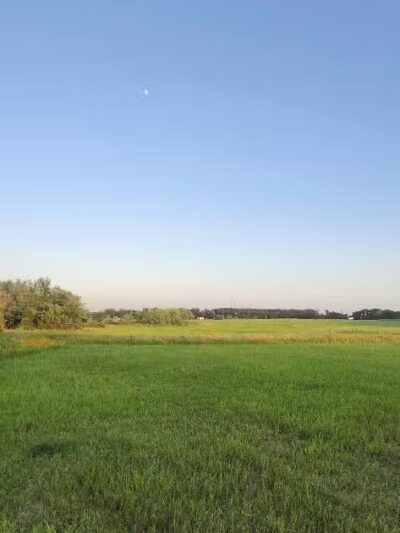 Whitney Rose Rv Park - Whitney, TX