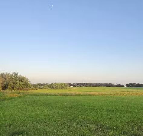 Whitney Rose Rv Park - Whitney, TX