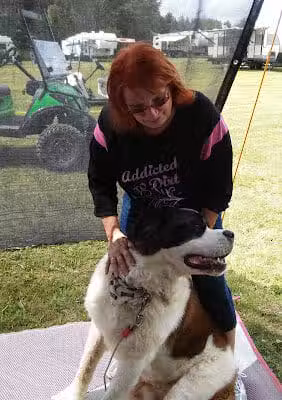 Whittemore Speedway - Whittemore,