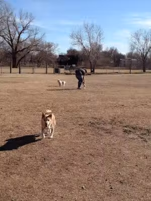 K-9 Rooster Dog Park - Wichita, KS