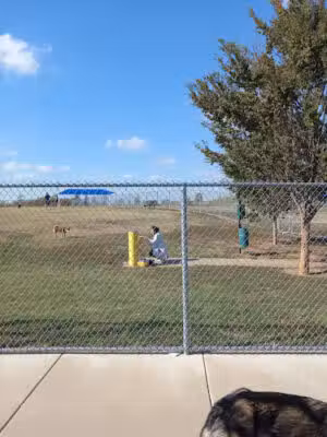 Murfin Dog Park - Wichita, KS