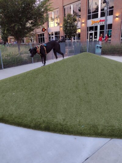 Naftzger Dog Park - Wichita, KS