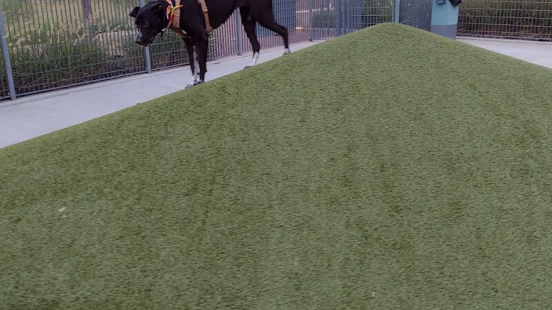 Naftzger Dog Park - Wichita, KS