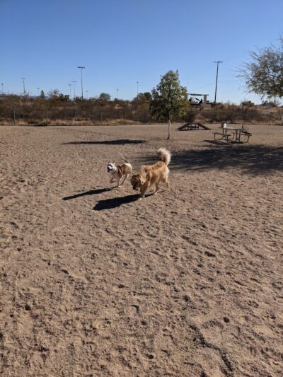 Wickenburg Dog Park - Wickenburg, AZ