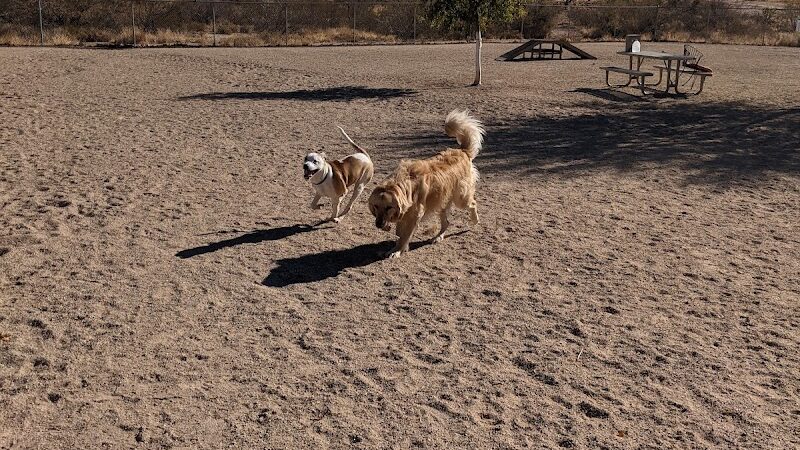 Wickenburg Dog Park - Wickenburg, AZ