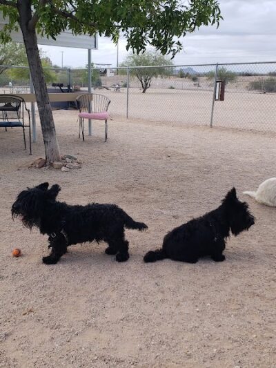 Wickenburg Dog Park - Wickenburg, AZ