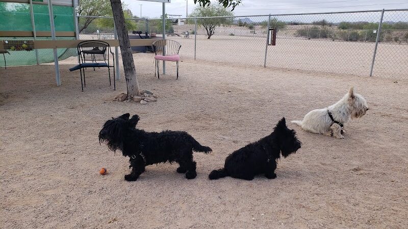 Wickenburg Dog Park - Wickenburg, AZ
