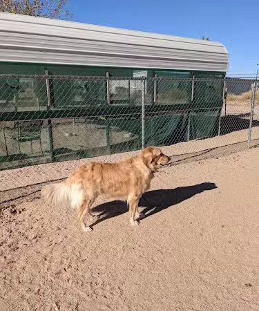 Wickenburg Dog Park - Wickenburg, AZ