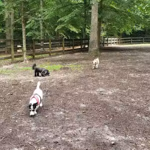 Waller Mill Park - Williamsburg, VA