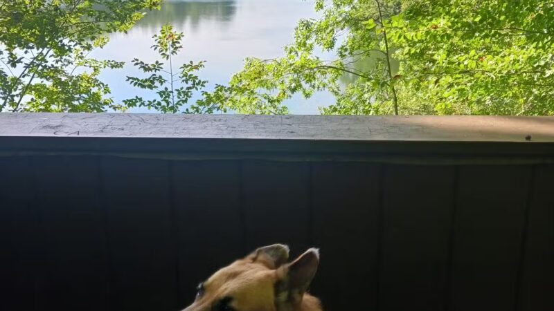 Waller Mill Park - Williamsburg, VA