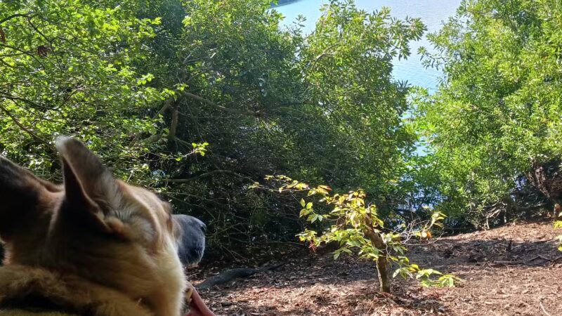 Waller Mill Park - Williamsburg, VA