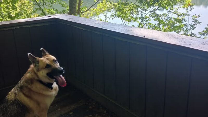 Waller Mill Park - Williamsburg, VA