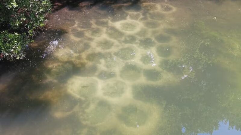 Waller Mill Park - Williamsburg, VA