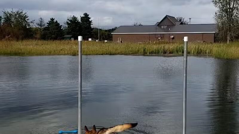 Joey's Pet Outfitters Dog Park - Williamston,