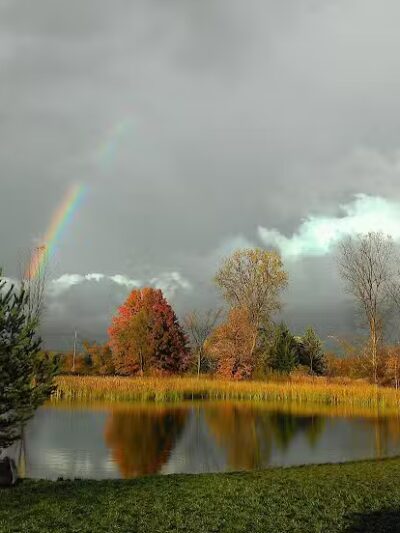 Joey's Pet Outfitters Dog Park - Williamston,