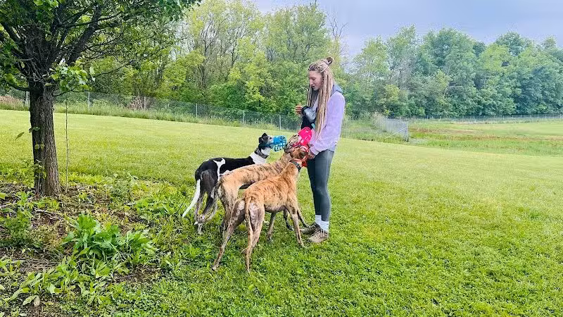 Joey's Pet Outfitters Dog Park - Williamston,