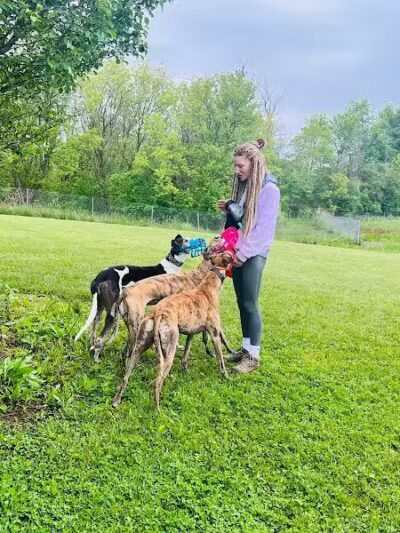 Joey's Pet Outfitters Dog Park - Williamston,