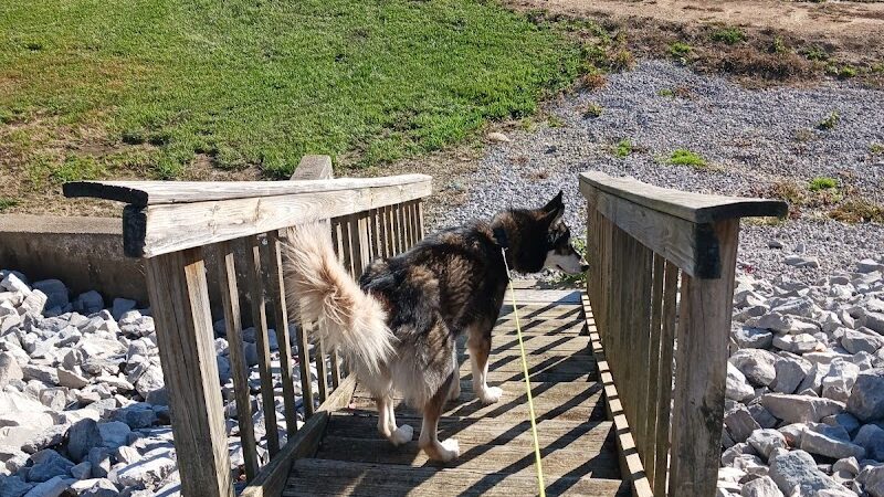 Cocoa Dog Park - Williamstown, KY