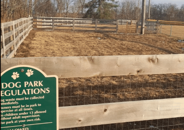 Cocoa Dog Park - Williamstown, KY