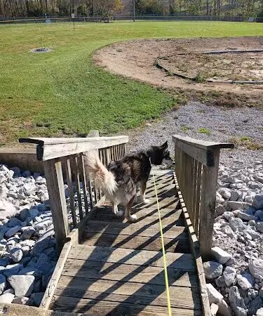 Cocoa Dog Park - Williamstown, KY