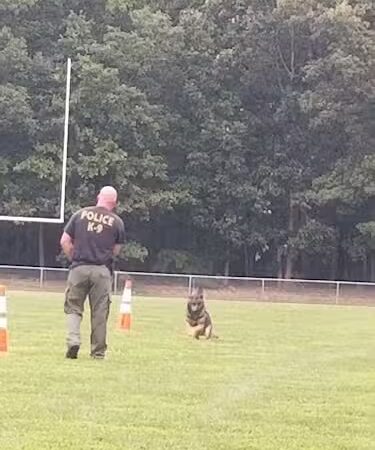 Owens Park - Williamstown, NJ