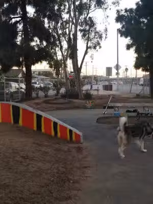LEXI'S COMMUNITY DOG PARK - Wilmington, CA