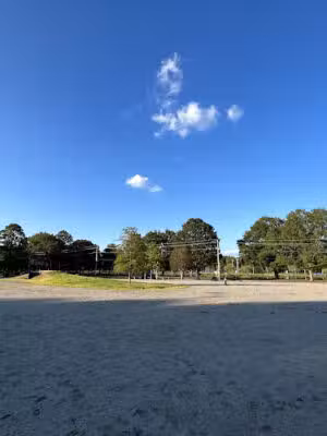 Wilson Dog Park - Wilson, NC