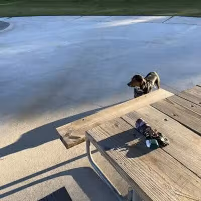 Wilson Dog Park - Wilson,