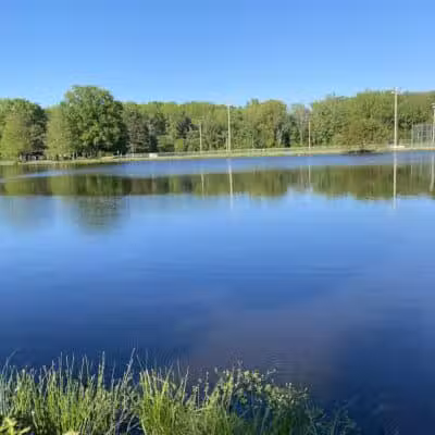 Wilson Dog Park - Wilson,