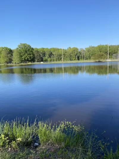 Wilson Dog Park - Wilson,