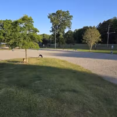 Wilson Dog Park - Wilson,