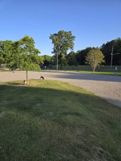 Wilson Dog Park - Wilson,