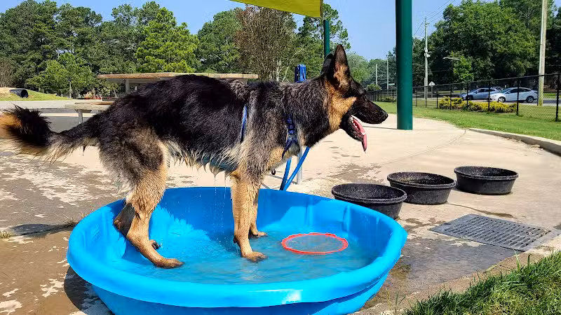 Wilson Dog Park - Wilson,